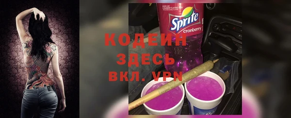 сатива Вязьма