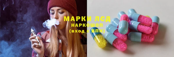сатива Вязьма