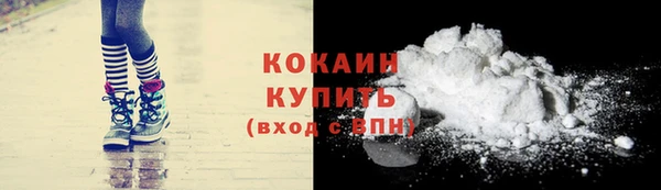 сатива Вязьма