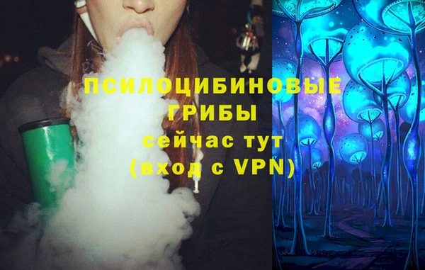 сатива Вязьма
