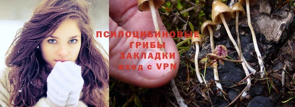 меф Вяземский