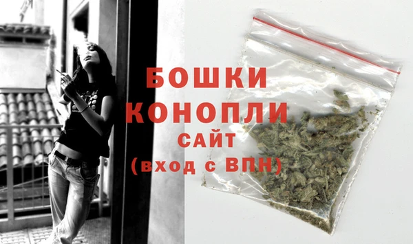 сатива Вязьма