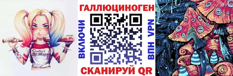 Псилоцибиновые грибы GOLDEN TEACHER  Купить закладки  Гаврилов Посад 
