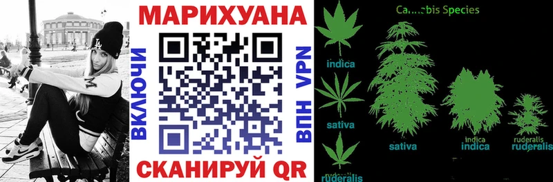 Каннабис индика  Купить где  Гаврилов Посад 